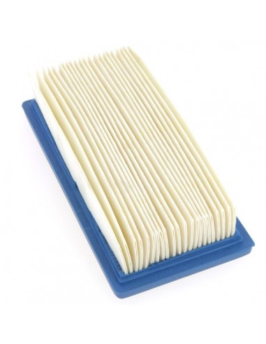 Filtre à air pour B&S 491384 et 496077