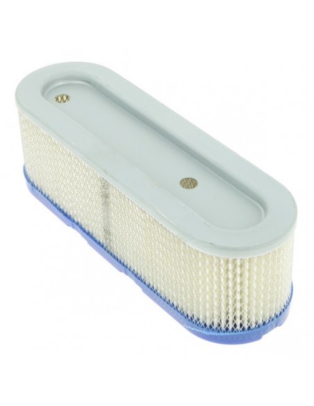Filtre à air pour B&S 491519-399806