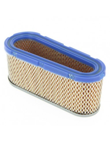 Filtre à air pour B&S 493910-691667