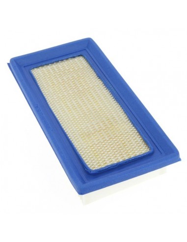 Filtre à air pour B&S 494511