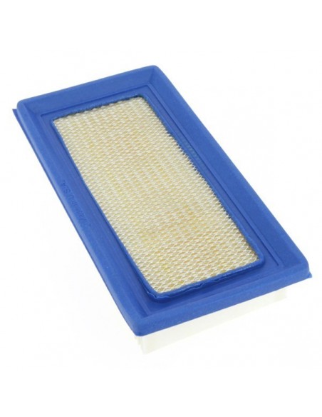 Filtre à air pour B&S 494511