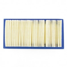 Filtre à air pour B&S 494511 2