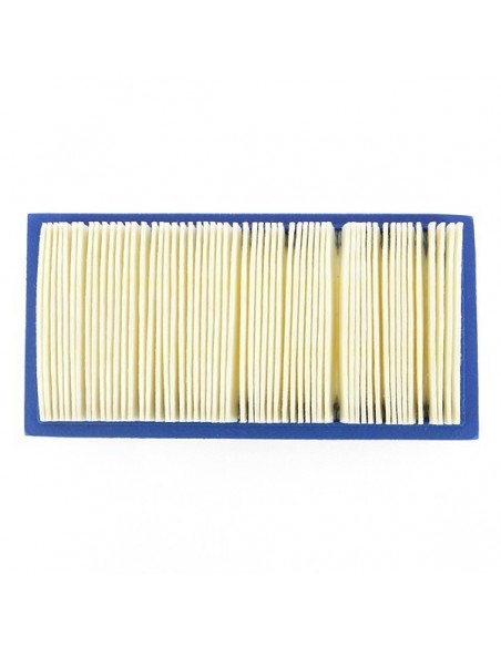 Filtre à air pour B&S 494511