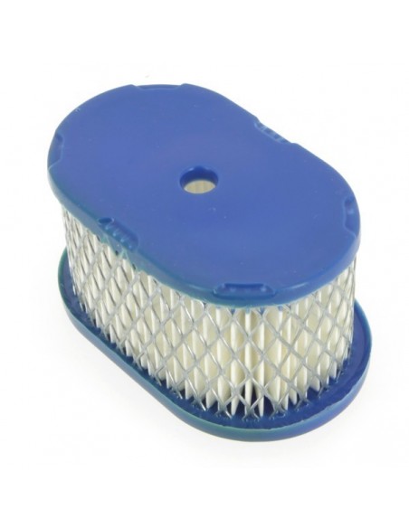 Filtre à air pour B&S 494586-497725