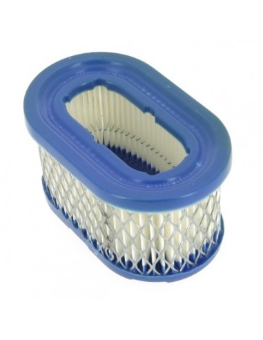 Filtre à air pour B&S 494586-497725