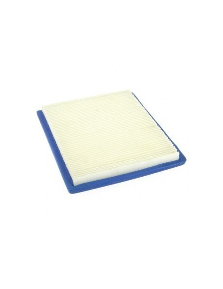 Filtre à air pour B&S 805113