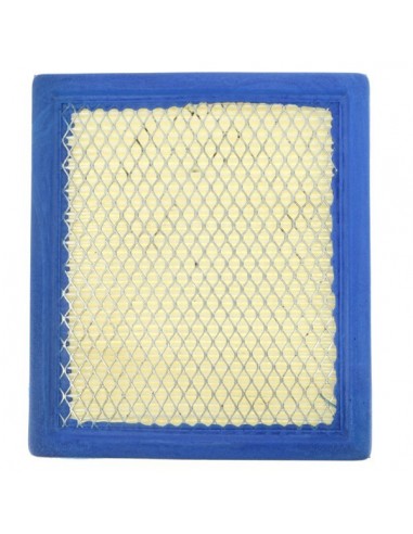 Filtre à air pour B&S 805113