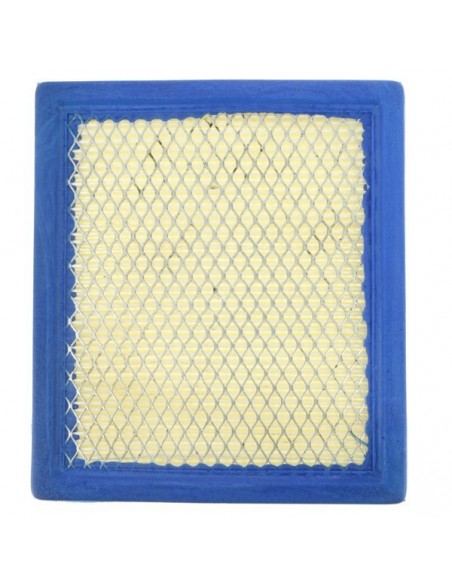 Filtre à air pour B&S 805113