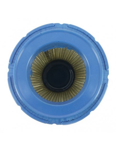 Filtre à air pour B&S 841497