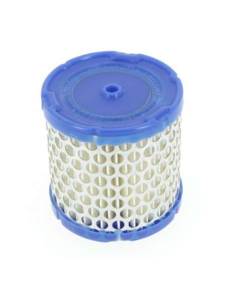 Filtre à air pour Briggs & Stratton 396424