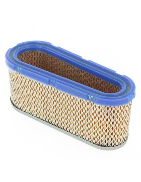 Filtre à air pour Briggs & Stratton 493909-496894