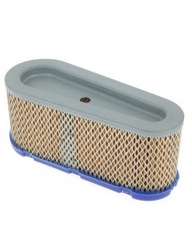 Filtre à air pour Briggs & Stratton 493909-496894