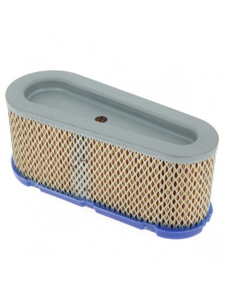 Filtre à air pour Briggs & Stratton 493909-496894