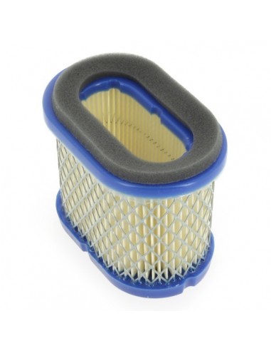 Filtre à air pour Briggs & Stratton 692446