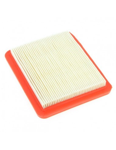 Filtre à air pour Briggs & Stratton 711459