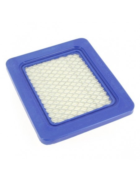 Filtre à air pour Briggs et Stratton 399959. 491588
