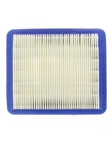 Filtre à air pour Briggs et Stratton 399959. 491588