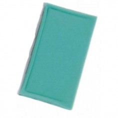 Pré-filtre pour B&S 273638 S