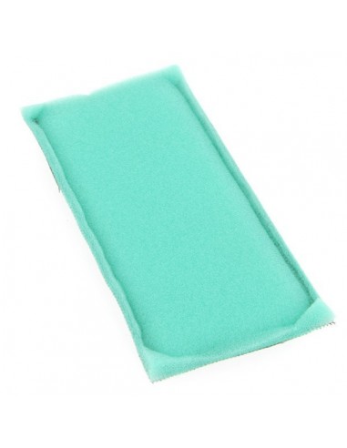 Pré-filtre pour Briggs 492889