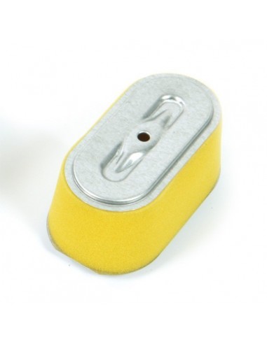 Filtre à air pour Honda 17211-ZG9-800