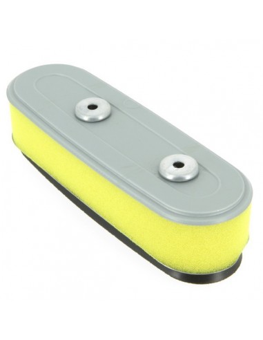 Filtre à air pour Honda 17211-ZG9-800