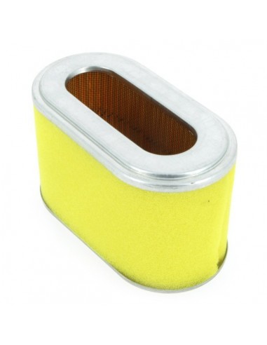 Filtre à air pour Honda 17211-ZG9-800