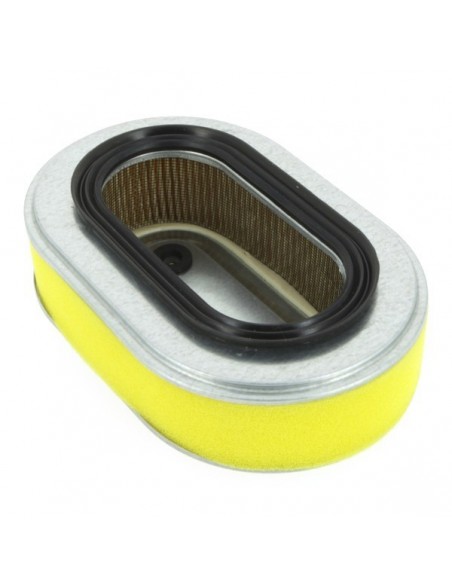 Filtre à air pour Honda 17211-ZG9-800