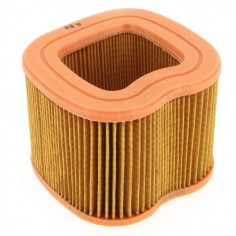 Filtre à air pour Honda 17211-ZG9-800