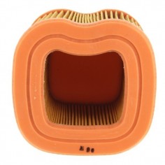 Filtre à air pour Honda 17211-ZG9-800 2