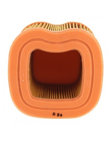 Filtre à air pour Honda 17211-ZG9-800