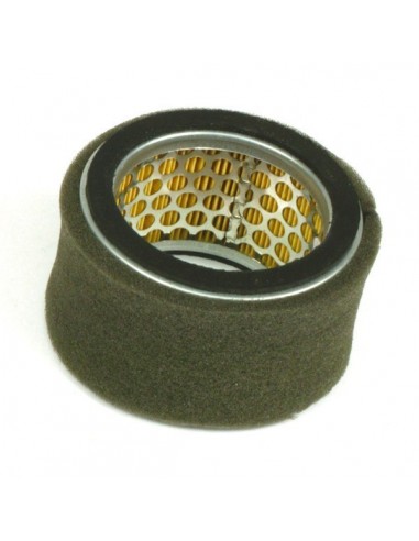 Filtre à air pour Kohler 12-083-10