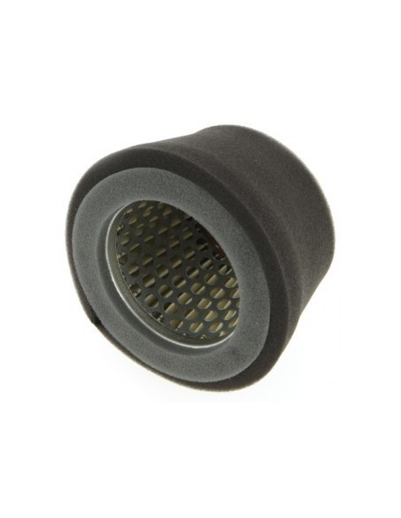 Filtre à air pour Robin 157-36201-01