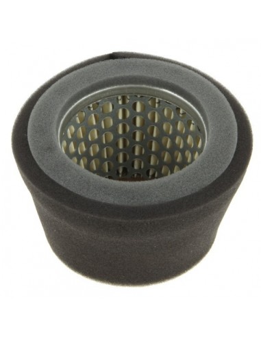 Filtre à air pour Robin 157-36201-01