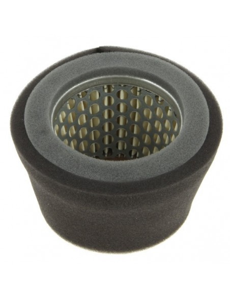 Filtre à air pour Robin 157-36201-01