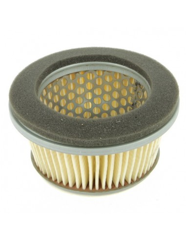 Filtre à air pour Robin 157-36201-01