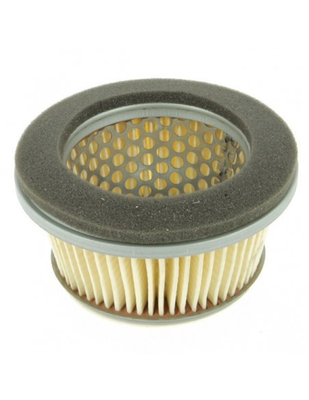 Filtre à air pour Robin 157-36201-01