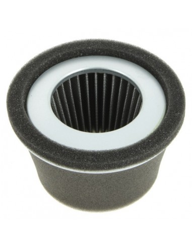 Filtre à air pour Robin 157-36201-01