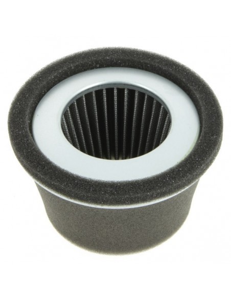 Filtre à air pour Robin 157-36201-01