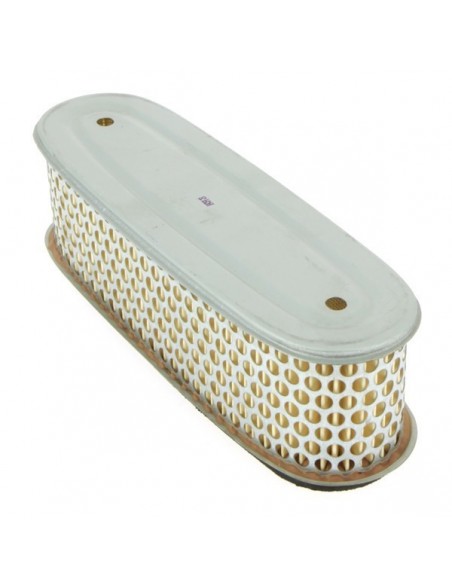 Filtre à air pour Robin 157-36201-01