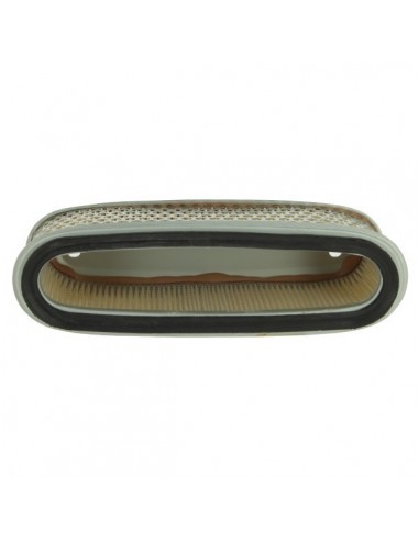 Filtre à air pour Robin 157-36201-01