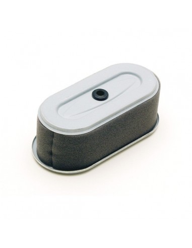 Filtre à air pour Robin 157-36201-01