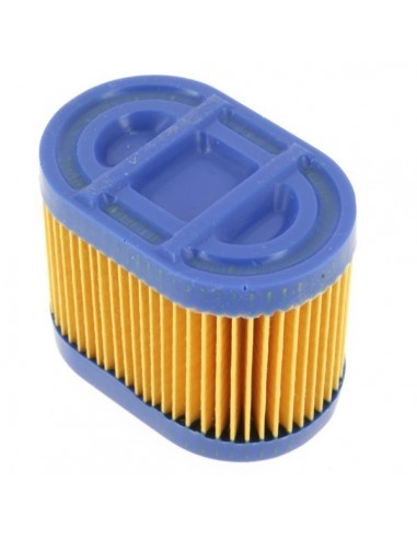 Filtre à air pour Tecumseh 36745