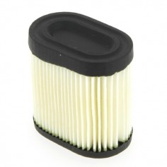 Filtre à air pour Tecumseh 36905