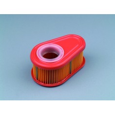 Filtre à air adaptable Briggs & Stratton 792038