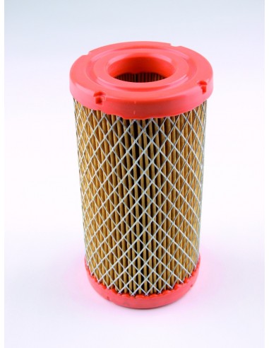 Filtre à air adaptable Briggs & Stratton 793569