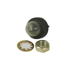 Pompe amorçage pour Walbro 188509