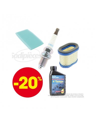 Kit d'entretien complet pour moteurs Briggs & Stratton Intek Vertical 5.5cv à 6.5CV, Intek Pro Horizontal 6.5CV