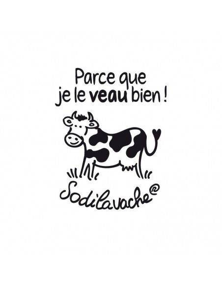 T.Shirt : " Parce que je le veau bien ! " 9/11 ans