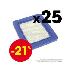 Filtre à air pour Briggs et Stratton 399959. 25 ex