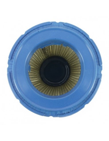 Filtre à air pour B&S 841497